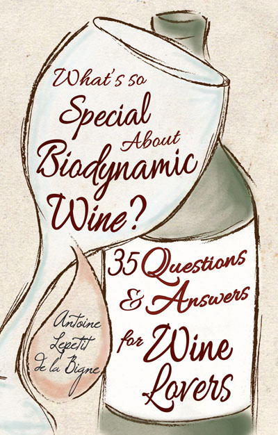 What's So Special About Biodynamic Wine?