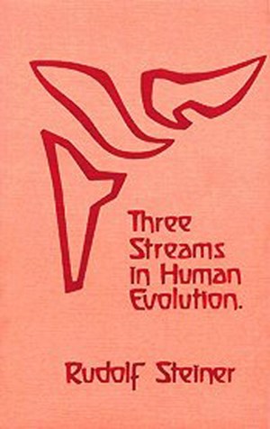 Three Streams in Human Evolution
