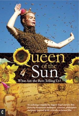 Queen of The Sun