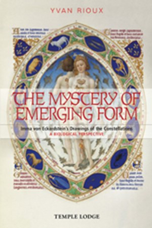The Mystery of the Emerging Form