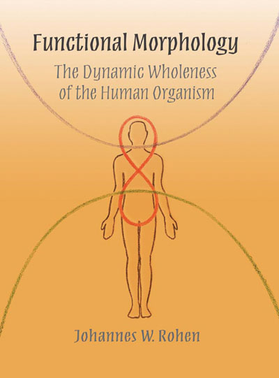 Functional Morphology