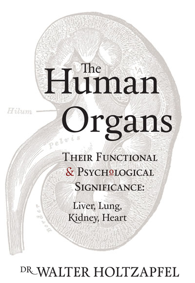 Human Organs