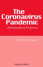 The coronavirus pandemic